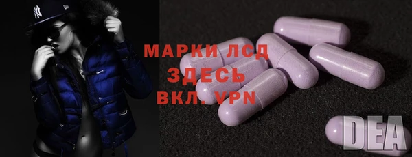 мдпв Богородицк