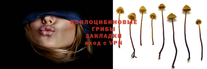 мефедрон Белокуриха