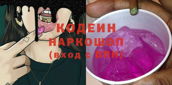 гидра Богородск