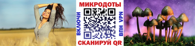 Купить где  Заполярный  Галлюциногенные грибы Psilocybe 